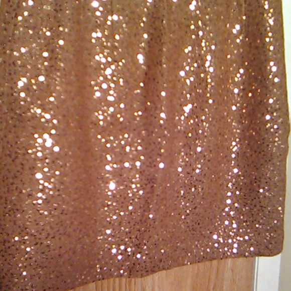 Ann Taylor Loft sequence Mini skirt - Picture 4 of 5